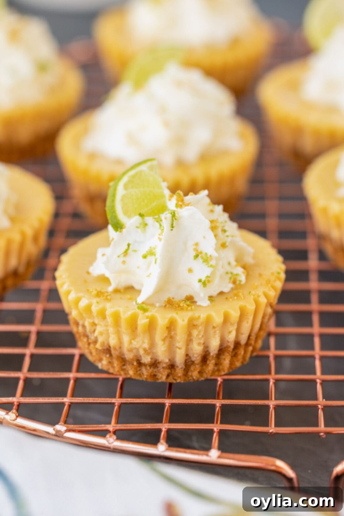 Mini Key Lime Pie on rack
