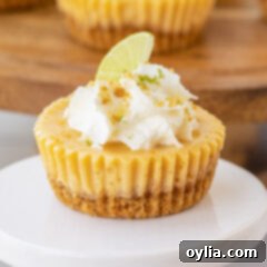 Mini Key Lime Pies