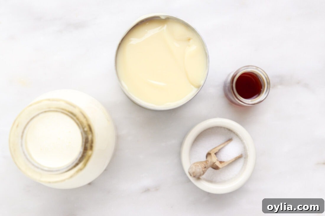 Rolled Ice Cream ingredients