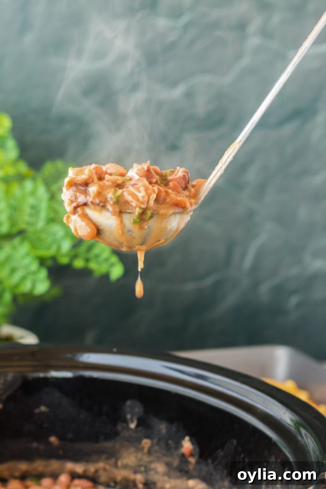 Close-up of a ladle serving savory crockpot pinto beans