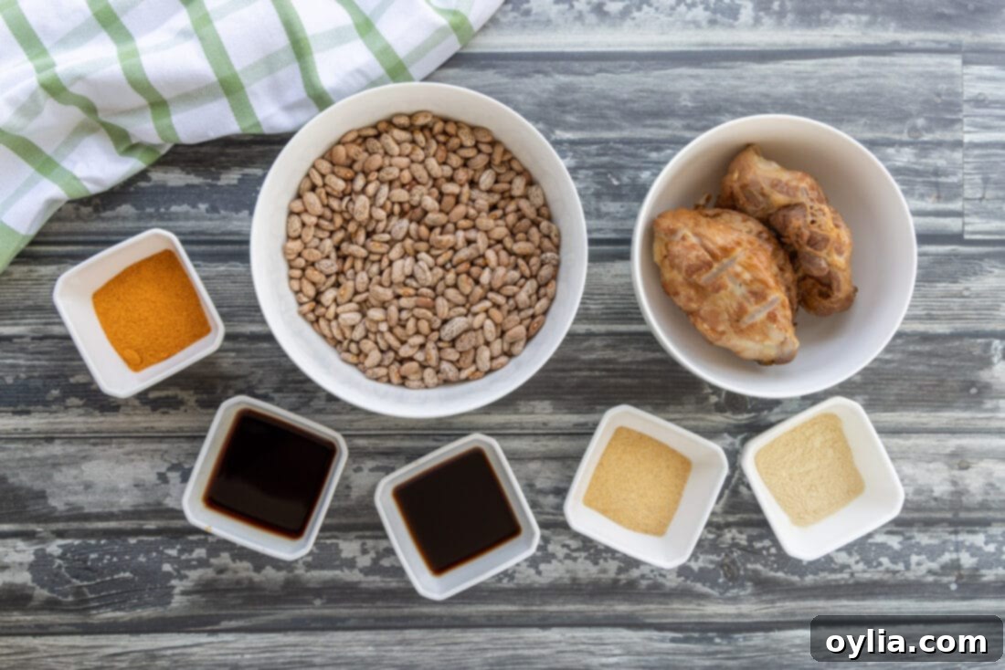 Arrangement of ingredients for Slow Cooker Pinto Beans, including dried beans, turkey tails, and spices