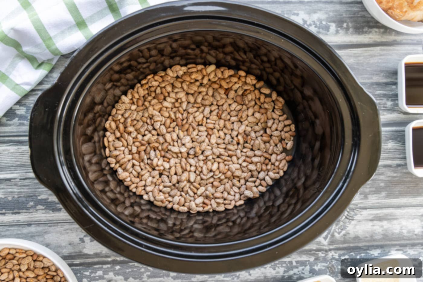 Half of dried pinto beans at the bottom of a slow cooker