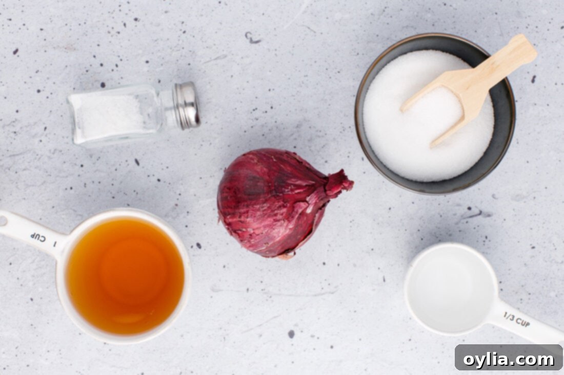 Vinegar-Kissed Onions 4 All the simple ingredients laid out for making quick pickled red onions