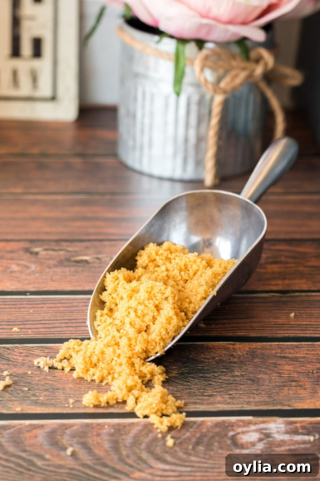 Guilt Free Brown Sugar Alternatives 8 scoop of Brown Sugar Substitute