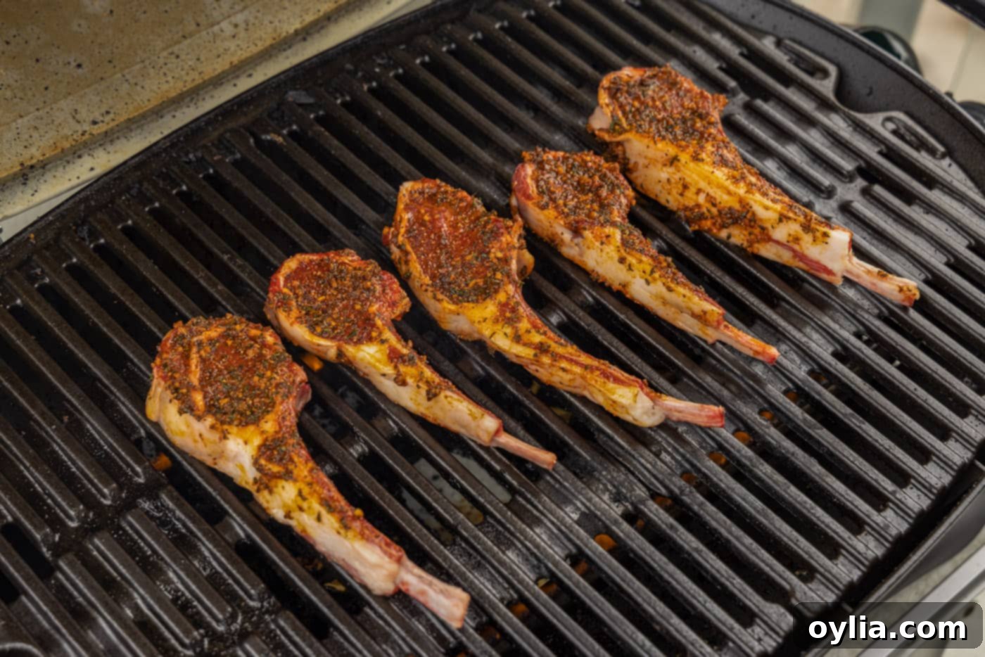 grilled lamb loin chops on grate