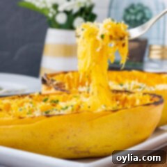 Golden Spaghetti Squash Bake 10 Baked Spaghetti Squash, ready to serve as a healthy main or side dish.
