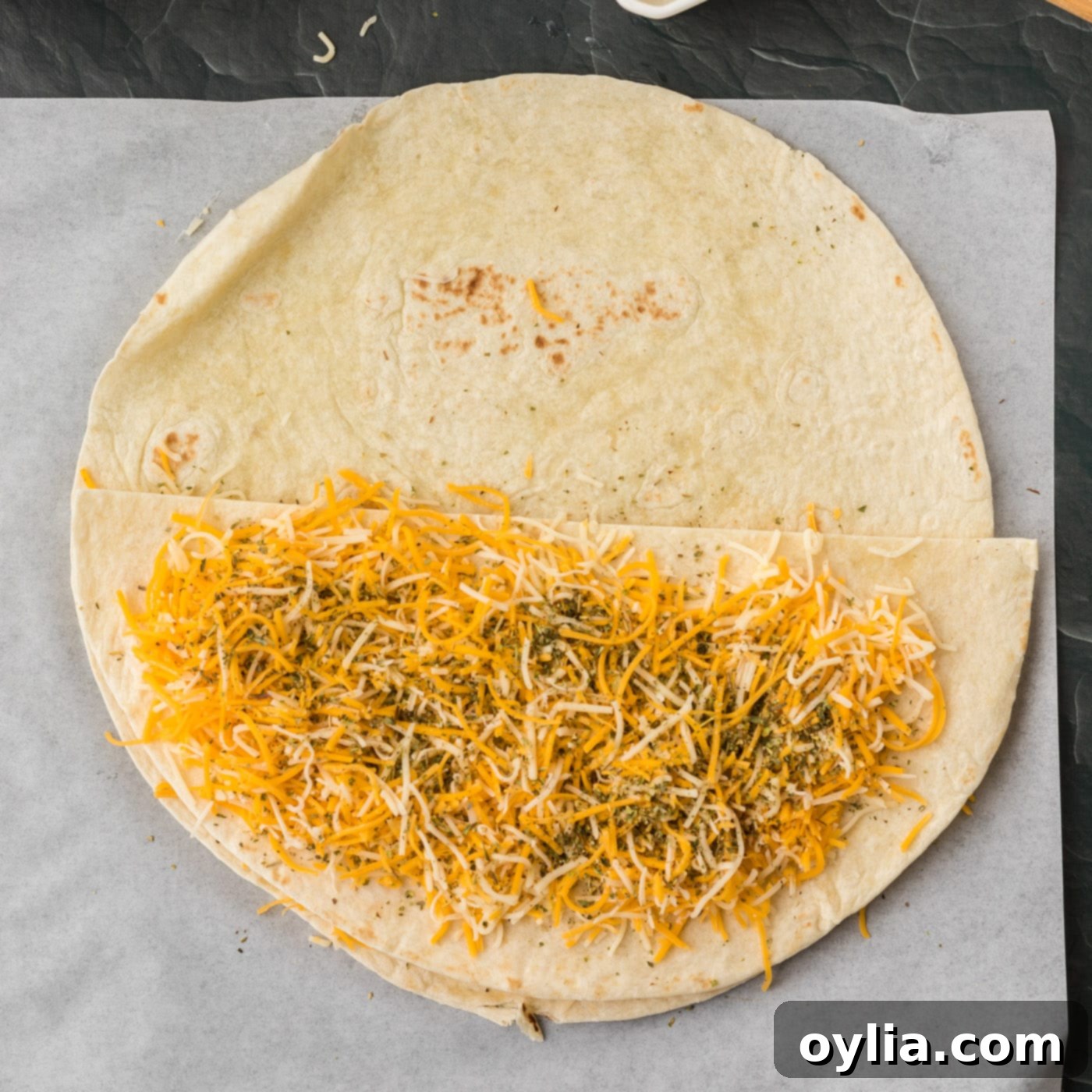 seasoned cheese quesadilla