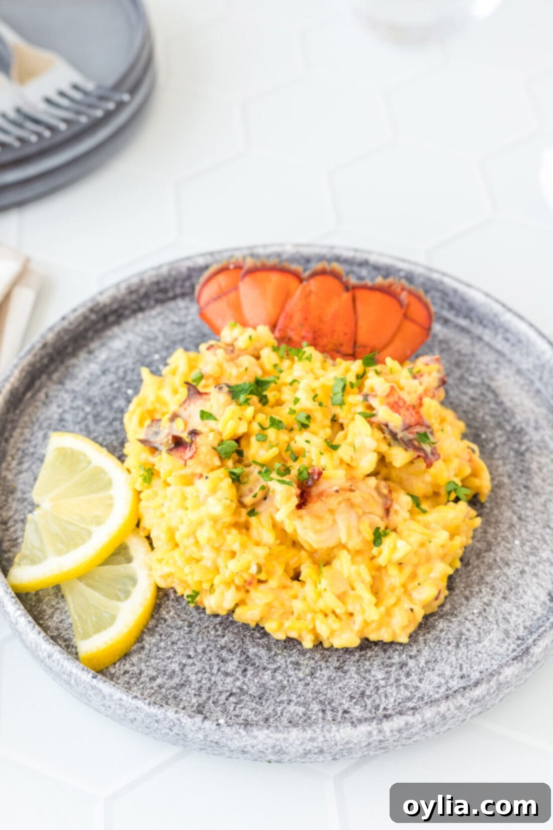 plate of Lobster Risotto