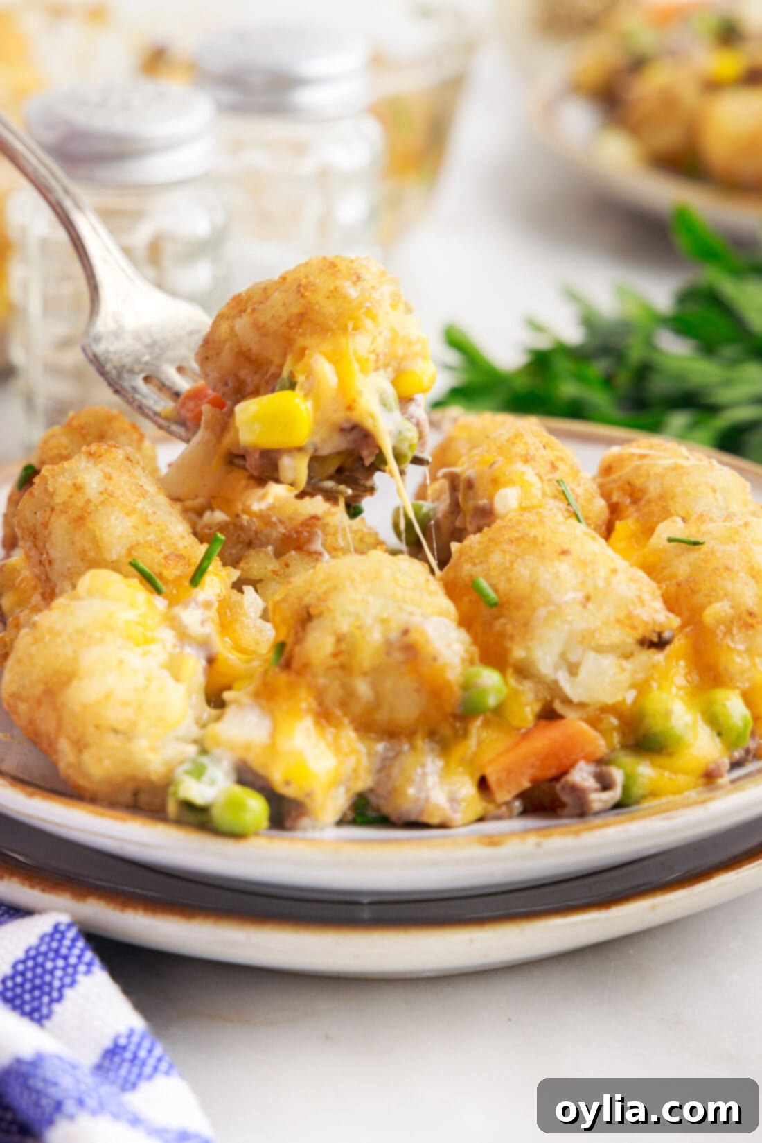 plate of Tatertot Casserole