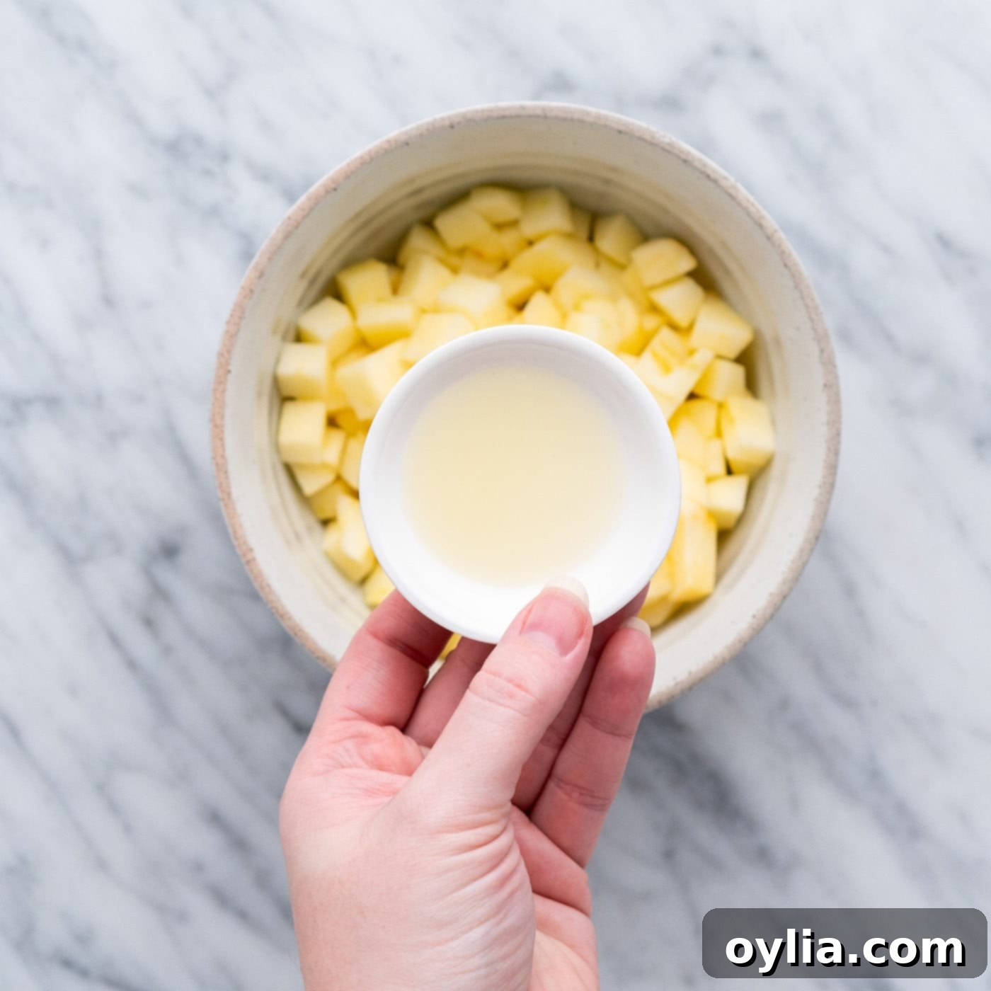 lemon juice over chopped apples