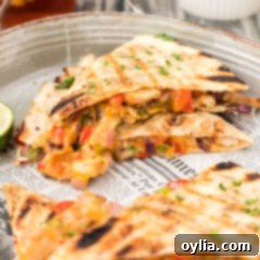 Ultimate Grilled Chicken Quesadilla 12 Close-up of a golden-brown grilled chicken quesadilla