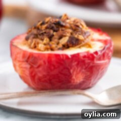 Air Fryer Apple Bliss 13 Air Fryer Baked Apples