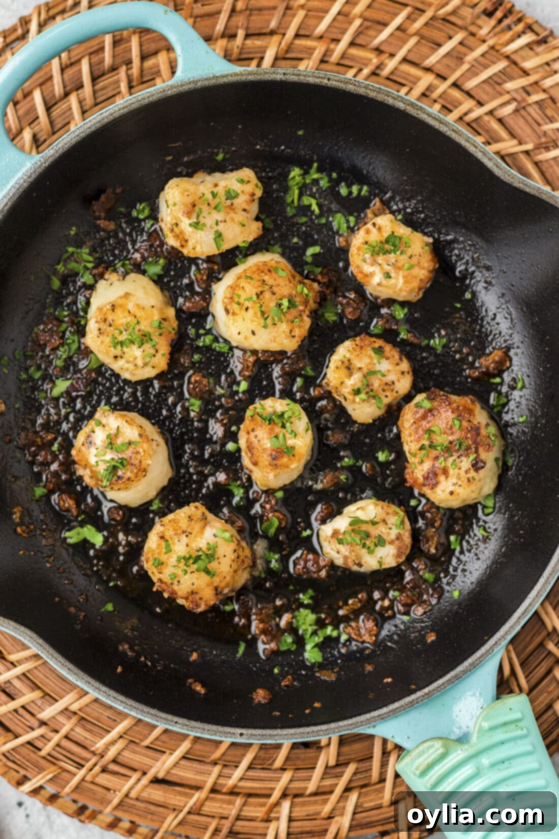 Pan Seared Scallops in a skillet