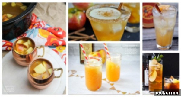 A collage of various festive and cozy apple cider drink recipes.