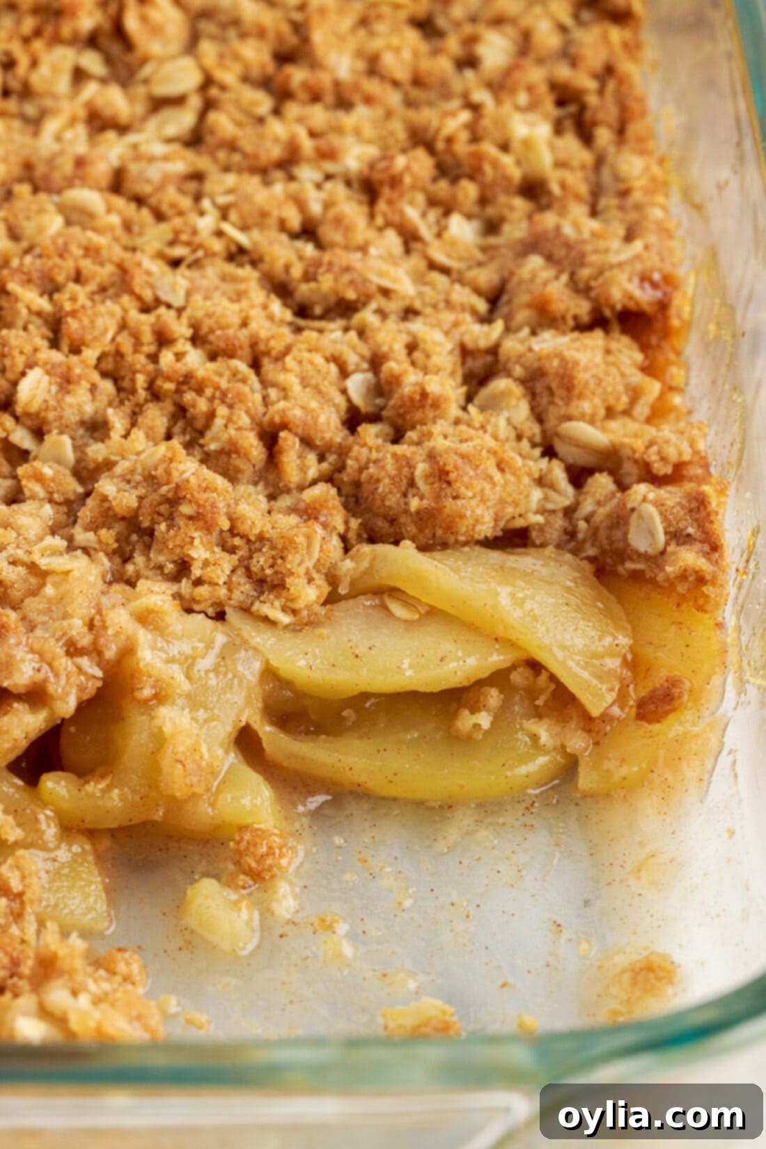 Apple Crumble 11 A large pan of freshly baked apple crumble with a golden, crispy topping
