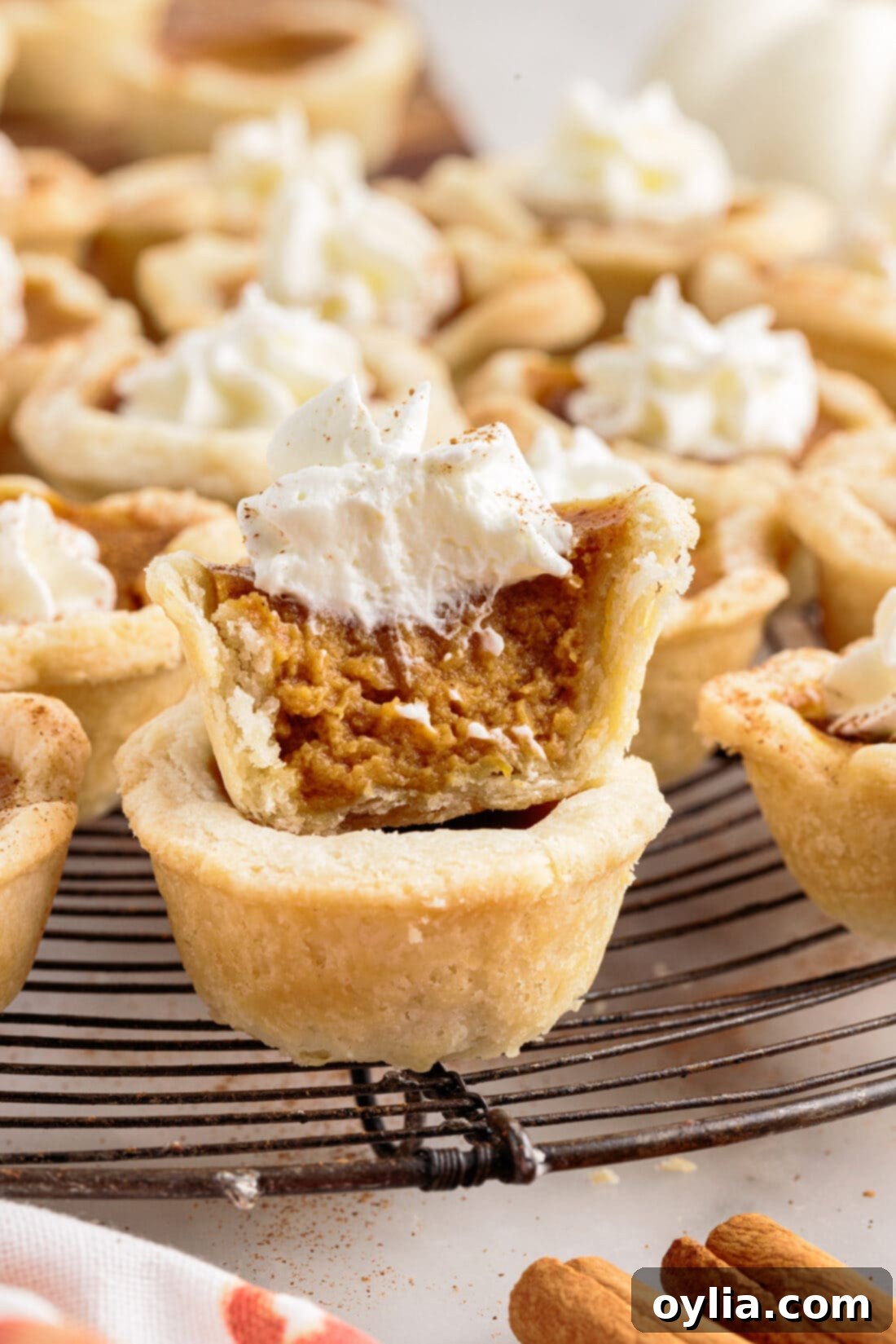 Stacked Mini Pumpkin Pies garnished with whipped cream and cinnamon