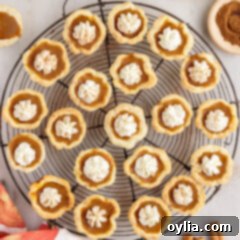 Mini Pumpkin Pies on a wire rack