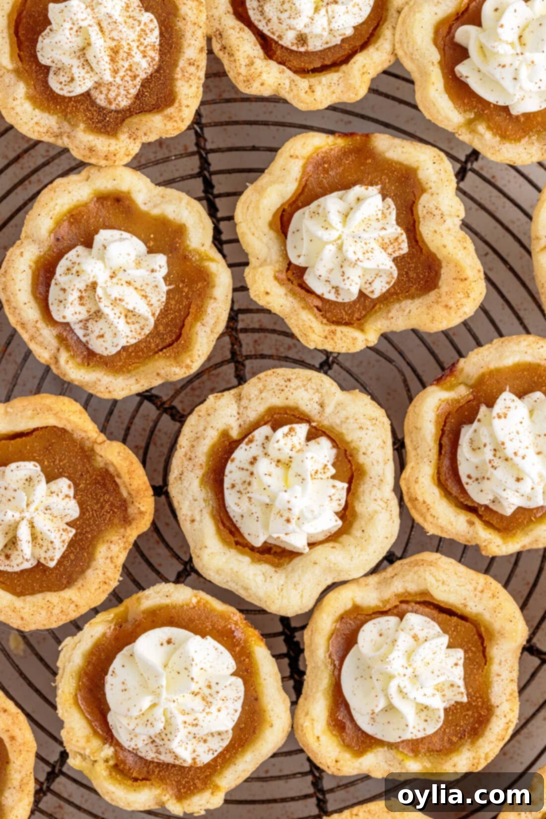 Freshly baked Mini Pumpkin Pies cooling on a wire rack