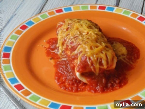 A close up photo of a Taco Bell enchirito copycat resting on a plate.
