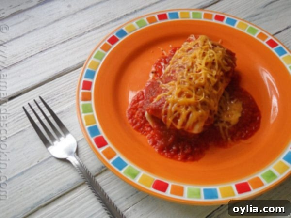 A photo of a Taco Bell enchirito copycat resting on a plate.