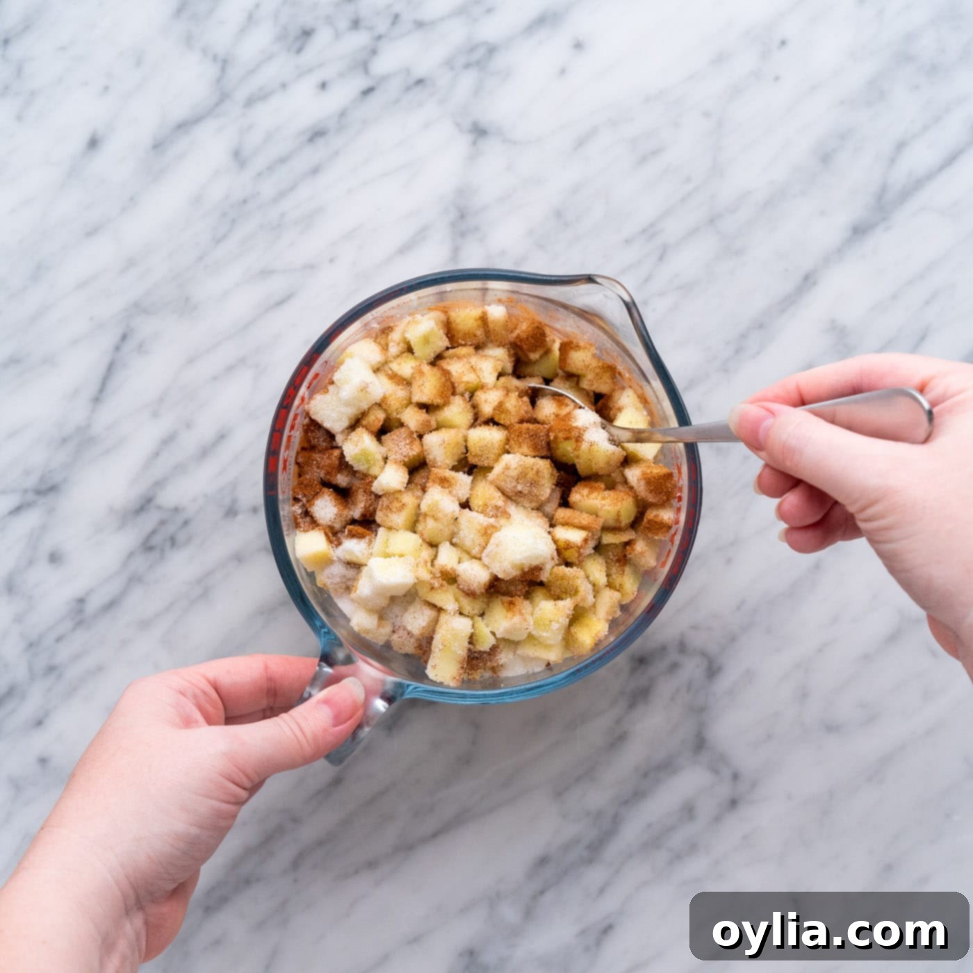 mixing chopped apples with spices and sugar