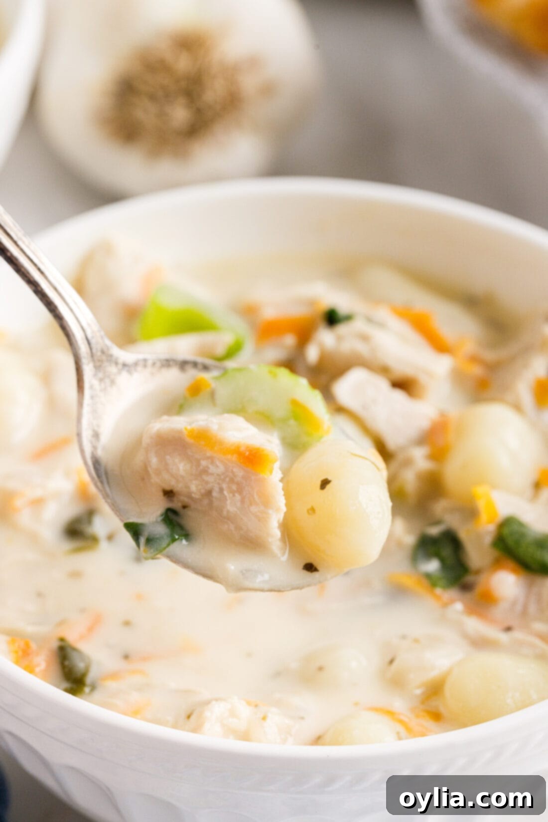 bowl of Chicken Gnocchi Soup