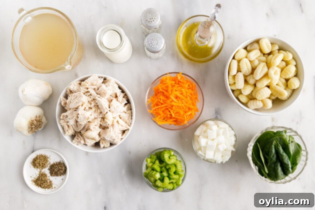 ingredients for Chicken Gnocchi Soup