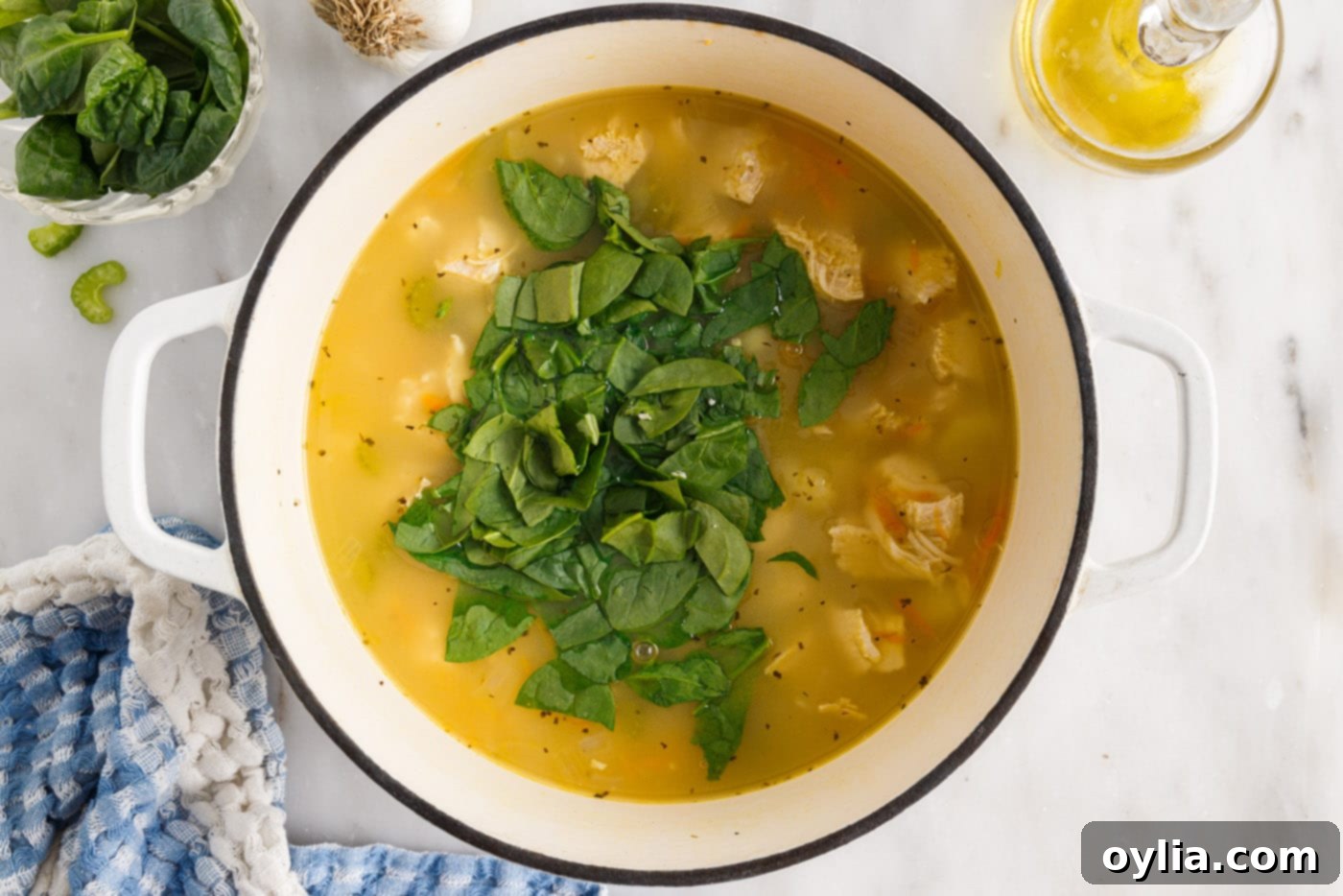 spinach in chicken and gnocchi soup