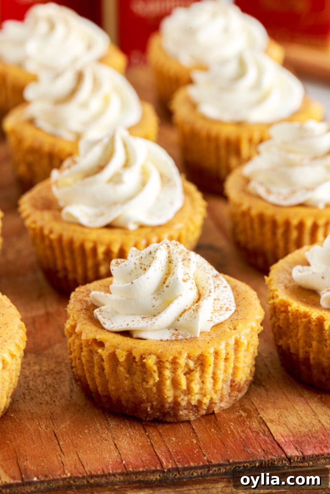 Bite-Sized Pumpkin Cheesecake Delights 2 Mini Pumpkin Cheesecakes arranged beautifully on a rustic cutting board, ready to be served for fall celebrations.