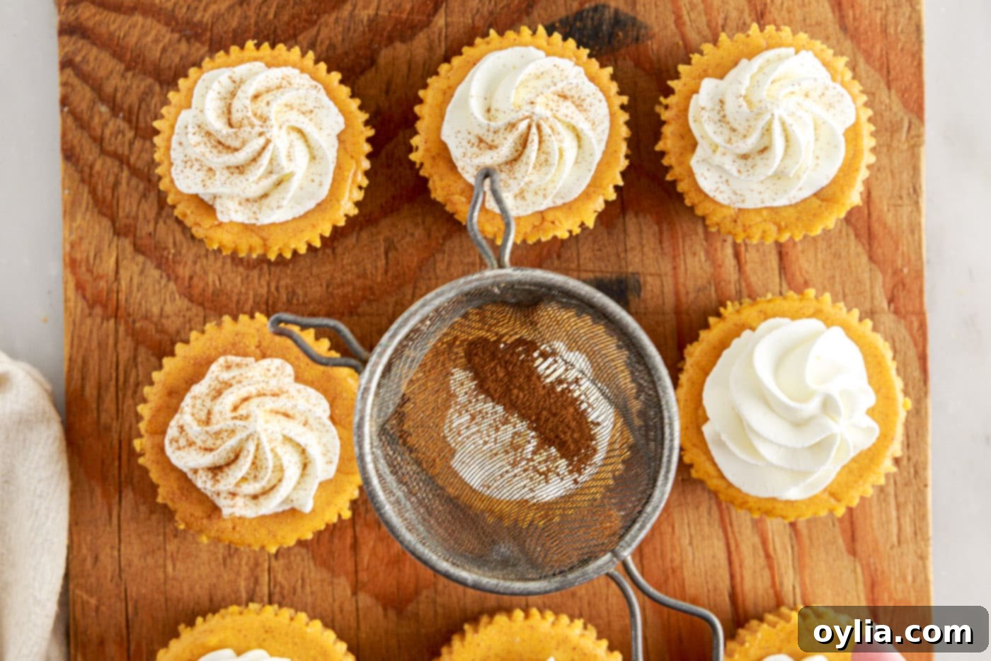 Dusting a finished mini pumpkin cheesecake with pumpkin pie spice over its whipped cream topping.