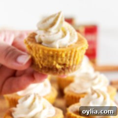 Bite-Sized Pumpkin Cheesecake Delights 15 A hand holding a perfectly baked mini pumpkin cheesecake, showcasing its golden crust and creamy texture.