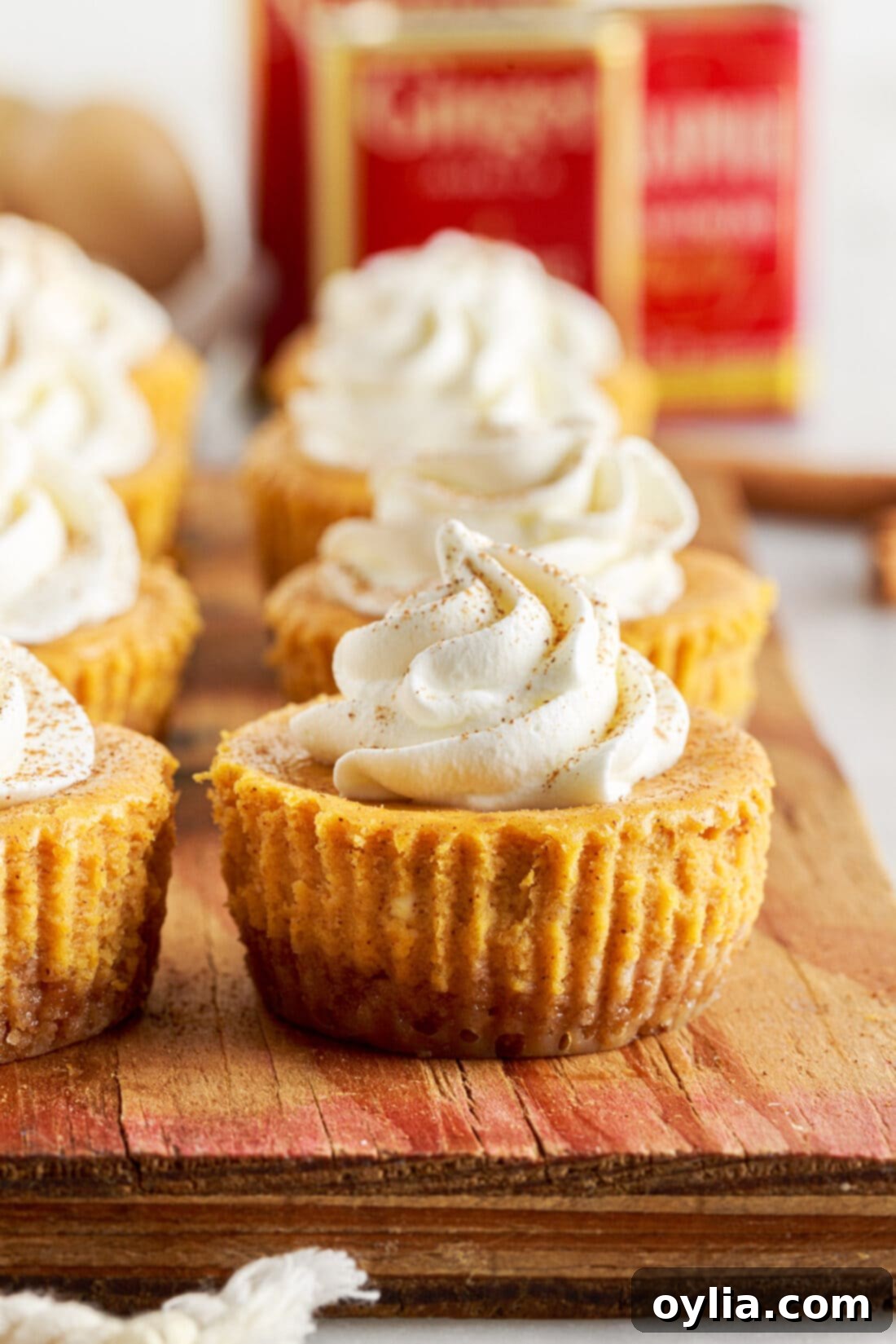 Bite-Sized Pumpkin Cheesecake Delights 3 Mini Pumpkin Cheesecakes topped with fluffy whipped cream and a sprinkle of pumpkin pie spice, ready for serving.
