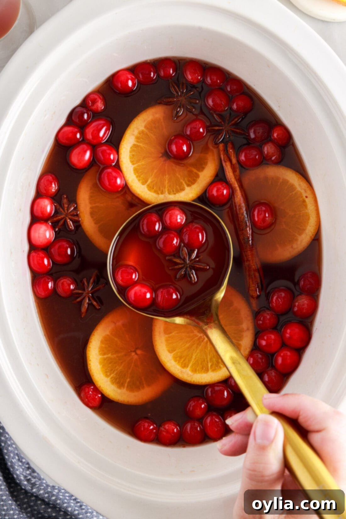 ladle of Hot Cranberry Punch