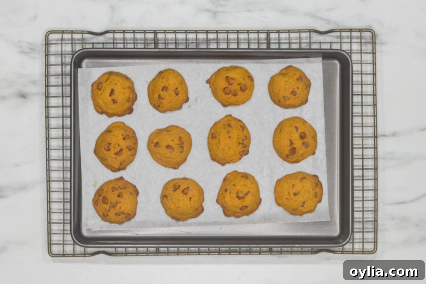 Baked pumpkin cinnamon chip cookies cooling on a baking sheet, showing their irresistible golden color.