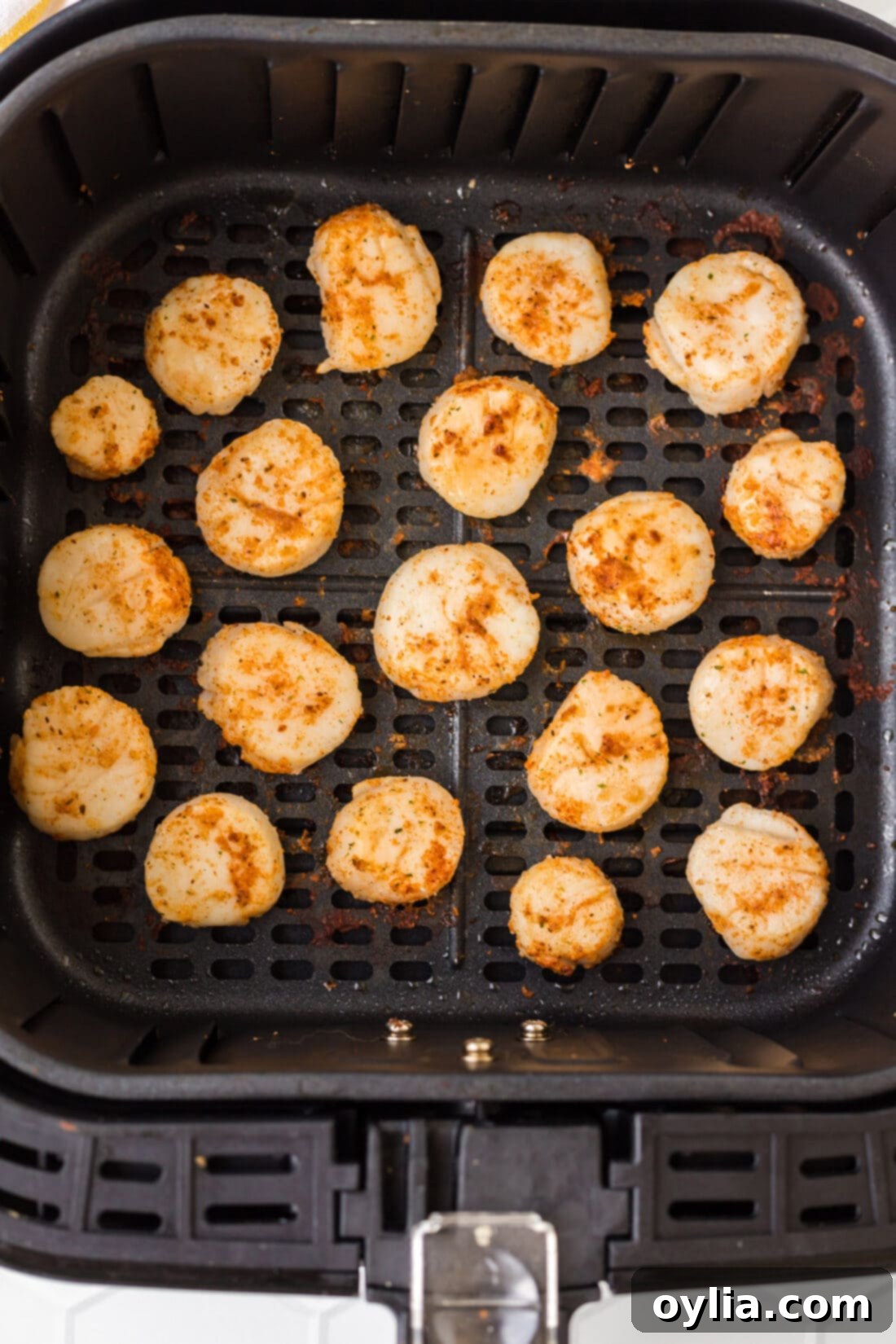 Crispy Air-Fried Scallops 3 Close-up shot of perfectly cooked Air Fryer Scallops in a basket