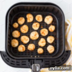Crispy Air-Fried Scallops 9 Delicious Air Fryer Scallops ready to eat, shown in a close-up