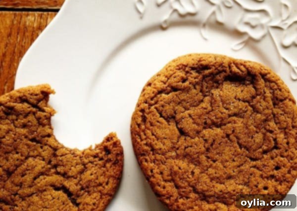 A close-up photograph of a perfectly baked, whole sugar-topped molasses spice cookie resting next to a half-eaten one on a clean white plate, revealing its soft, chewy interior.