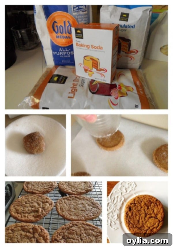 A four-panel step-by-step visual guide demonstrating how to prepare the molasses spice cookie dough, roll it into balls, coat them in sugar, and flatten them with a glass before baking.