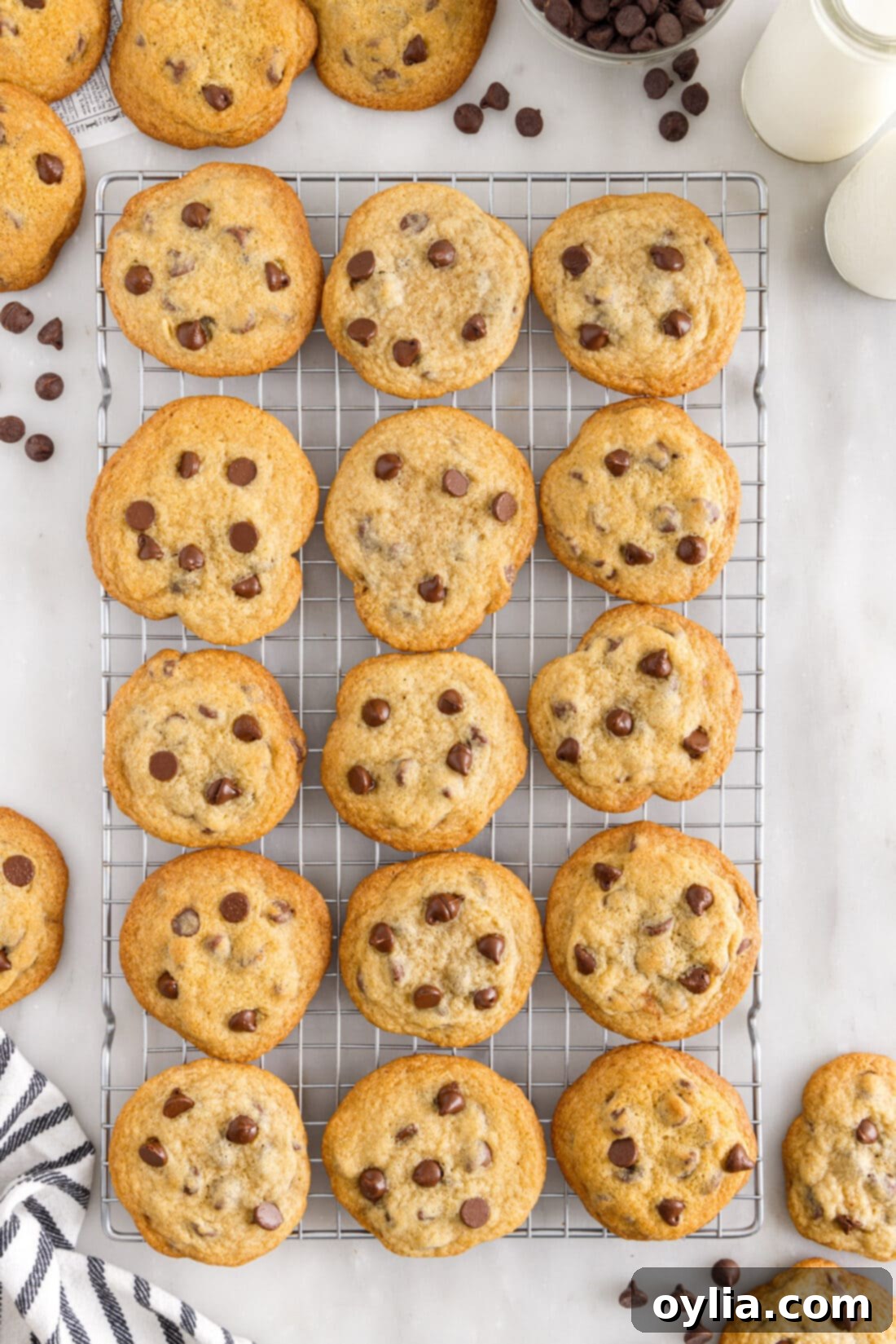 wire rackof Toll House Cookies