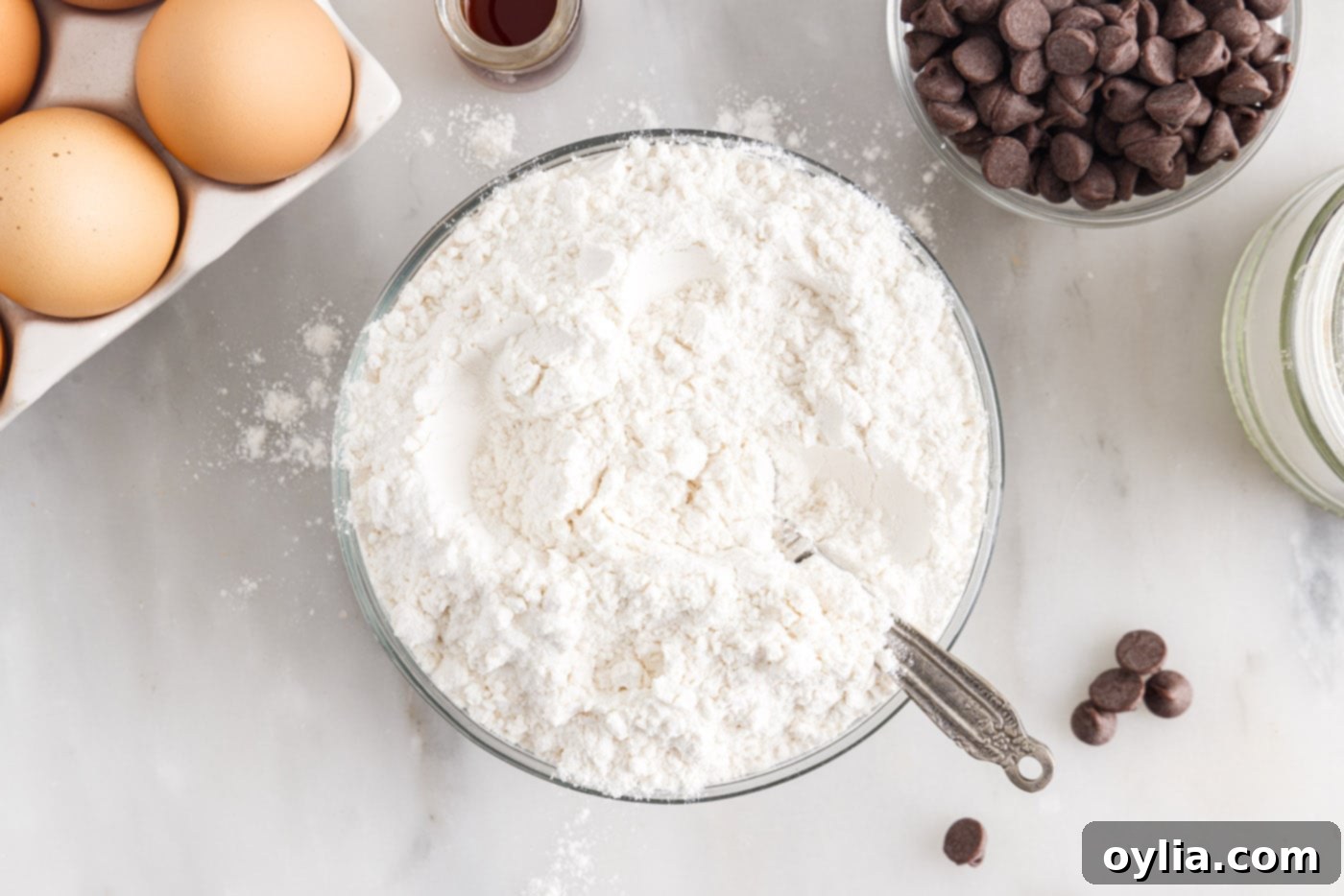 flour, baking soda, and salt in a bowl