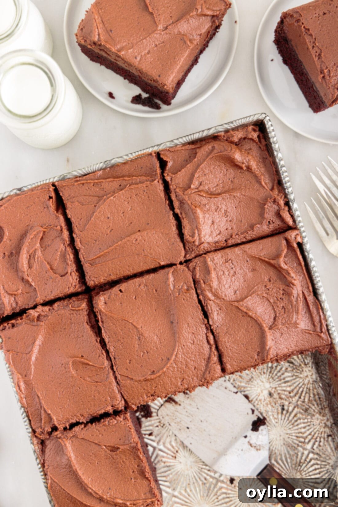 Moist Mayonnaise Cake 13 Square slices of rich Chocolate Mayonnaise Cake ready for serving
