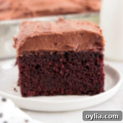 Moist Mayonnaise Cake 14 slice of chocolate Mayonnaise Cake