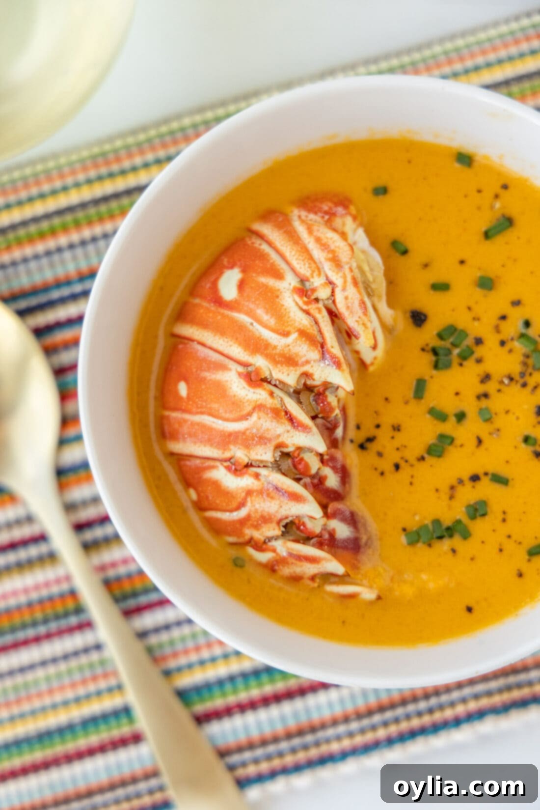 Velvet Sea Treasure 3 bowl of Lobster Bisque garnished with fresh herbs