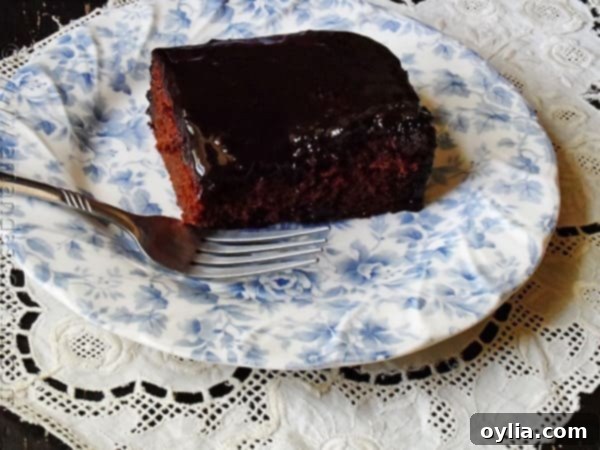 A slice of rich chocolate prune cake with caramel icing, served on a white plate