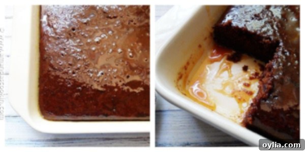 A classic prune cake, the inspiration for the chocolate version