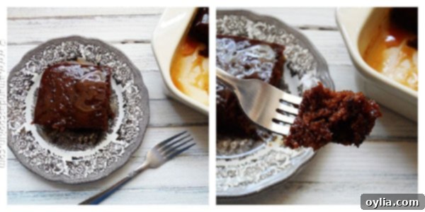 Close-up of the original prune cake before its chocolate transformation