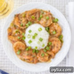 Louisiana Shrimp Comfort 14 bowl of Shrimp Etoufee with rice