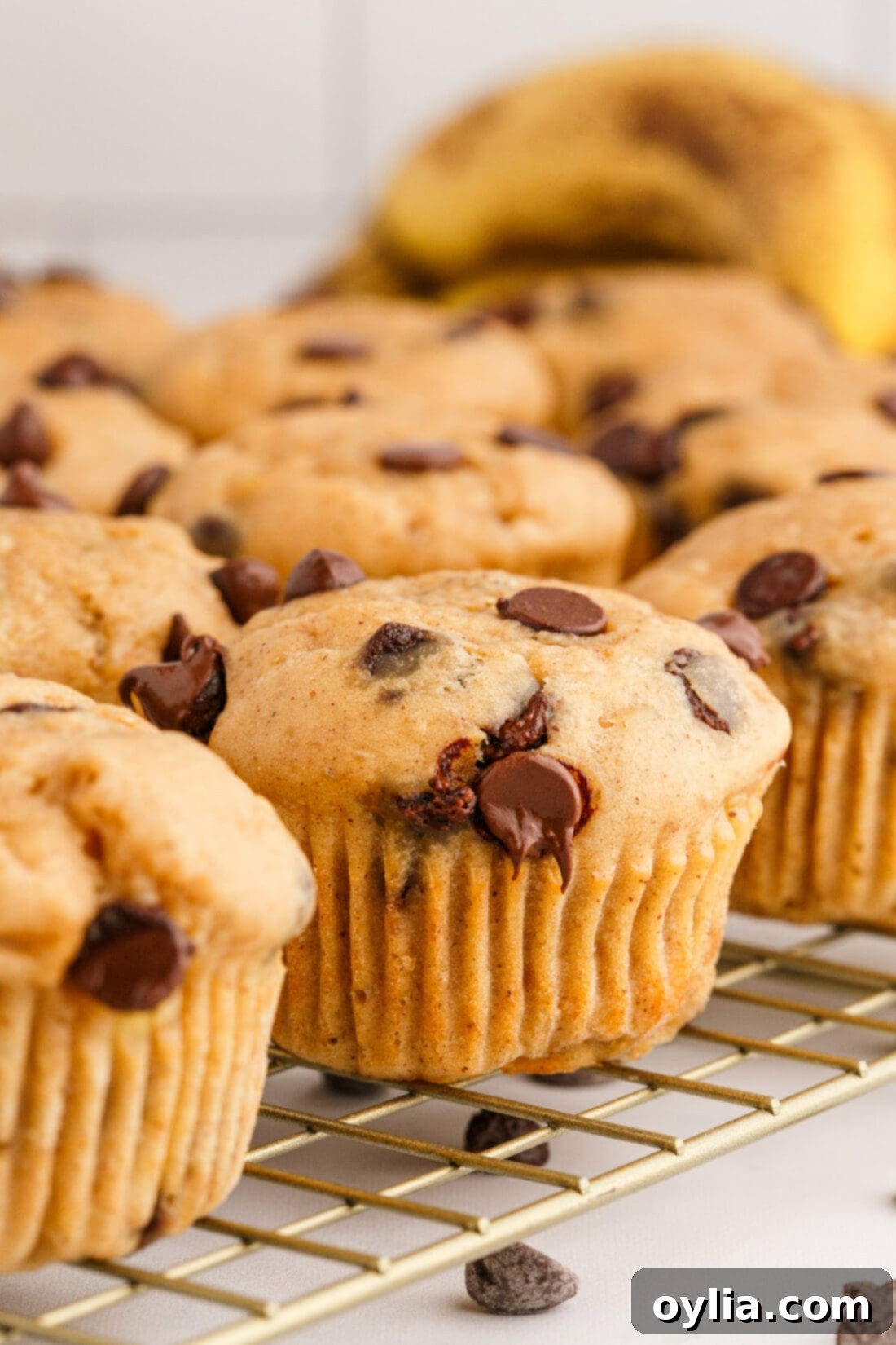 Chocolate Chip Banana Muffins on a wire rack