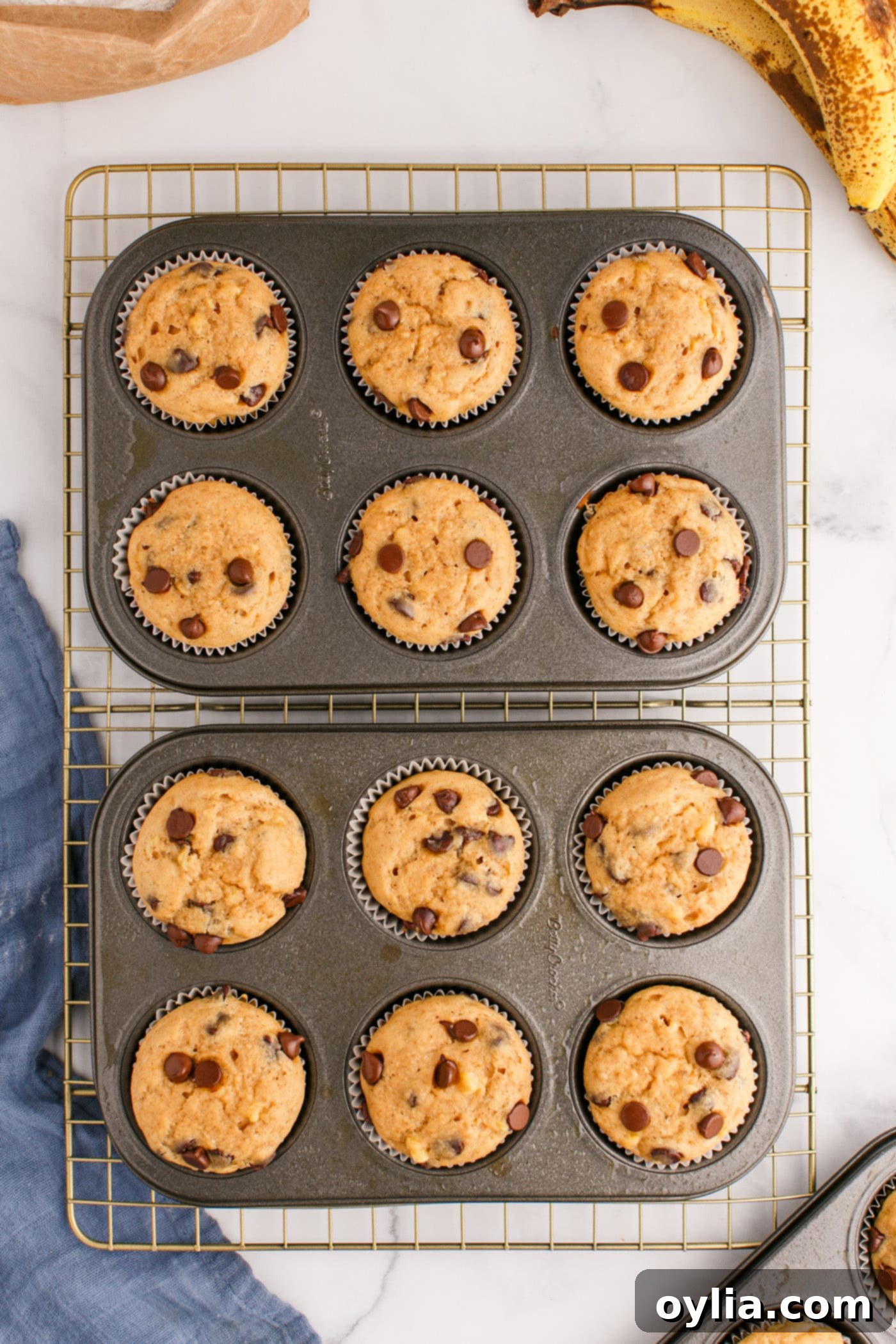 Freshly baked Chocolate Chip Banana Muffins on a cooling rack