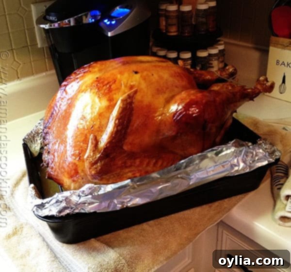 Brining a 32-pound turkey for a juicy holiday meal